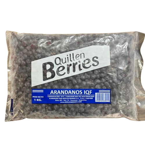 ARANDANOS CONGELADOS X 1KG
