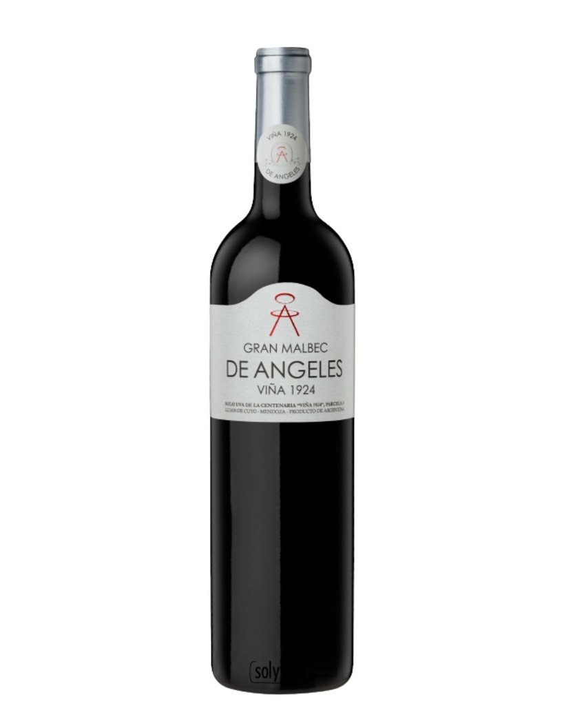 GRAN MALBEC DE ANGELES 750ML