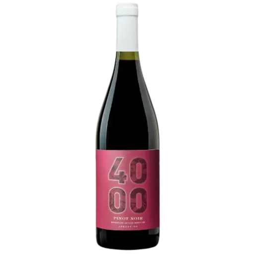 4000 PINOT NOIR RESERVA 750ML